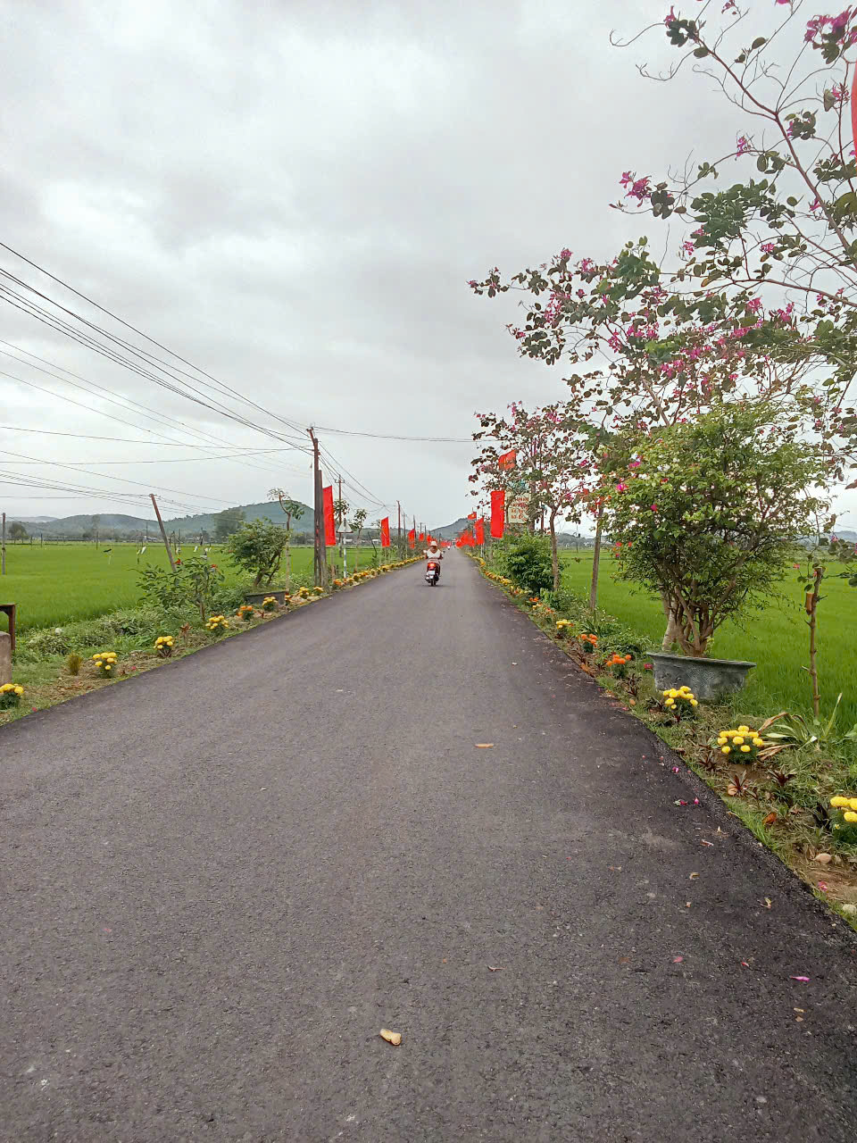 Cát Tài khởi sắc - rực rỡ cờ, hoa! Cát Tài khởi sắc - rực rỡ cờ, hoa!