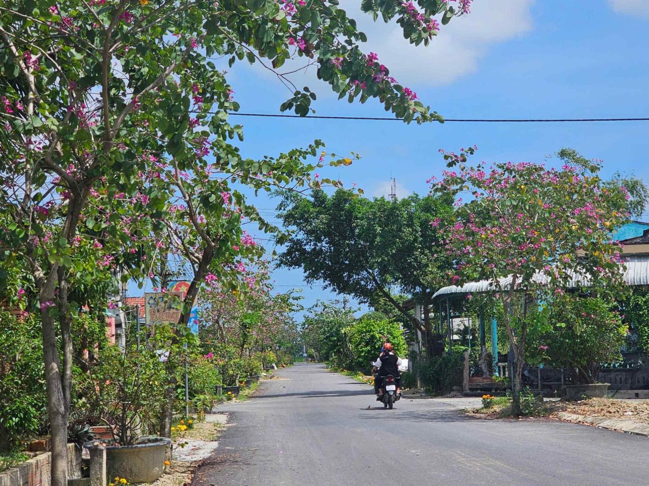 Xã Cát Tài vững vàng tiến bước xây dựng nông thôn mới nâng cao Xã Cát Tài vững vàng tiến bước xây dựng nông thôn mới nâng cao