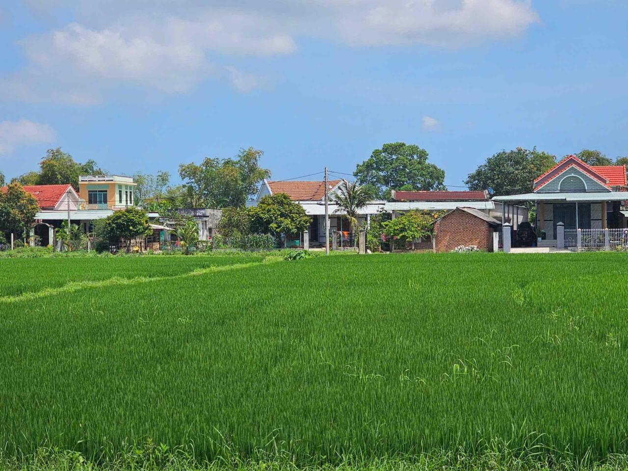 Xã Cát Tài vững vàng tiến bước xây dựng nông thôn mới nâng cao Xã Cát Tài vững vàng tiến bước xây dựng nông thôn mới nâng cao