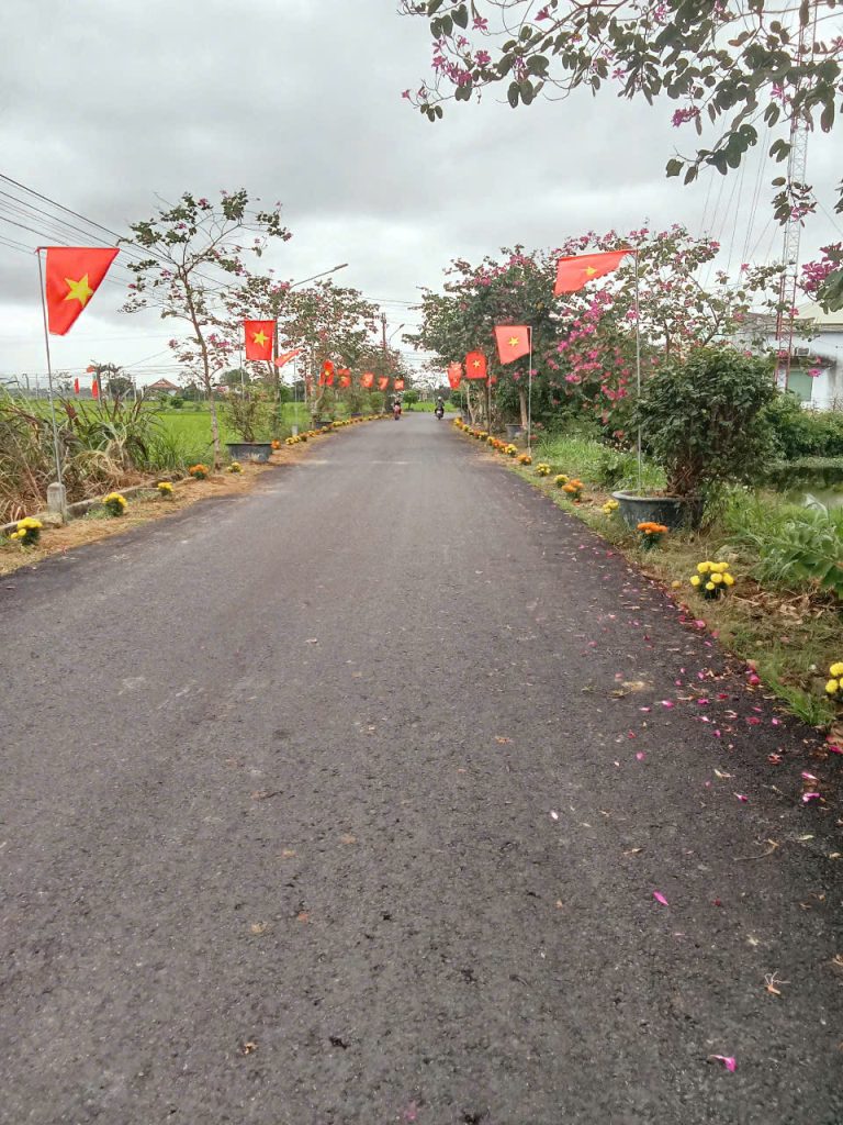 Cát Tài khởi sắc - rực rỡ cờ, hoa!